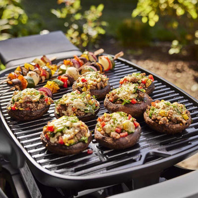 Weber Q 2800N+ w/Cart 2 Burner Grill